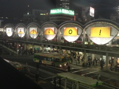 Toyoko_shibuya2