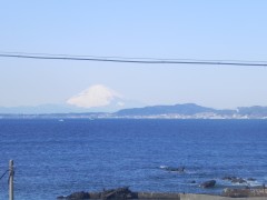Miurafuji