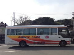 Hohidaikobus