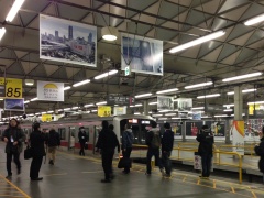 Toyoko_shibuya