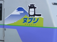 Nupuri_logo